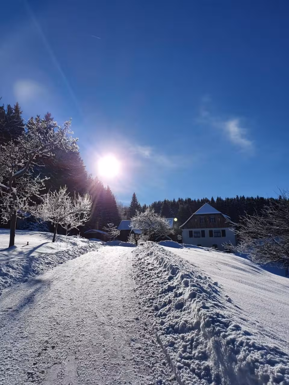 Bild der Unterkunft