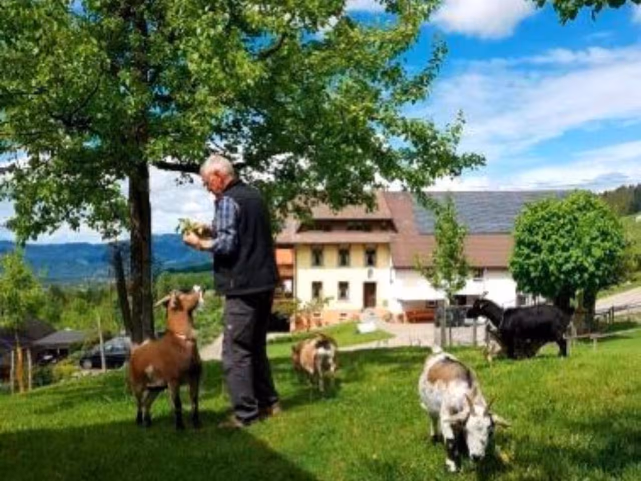 Bild der Unterkunft