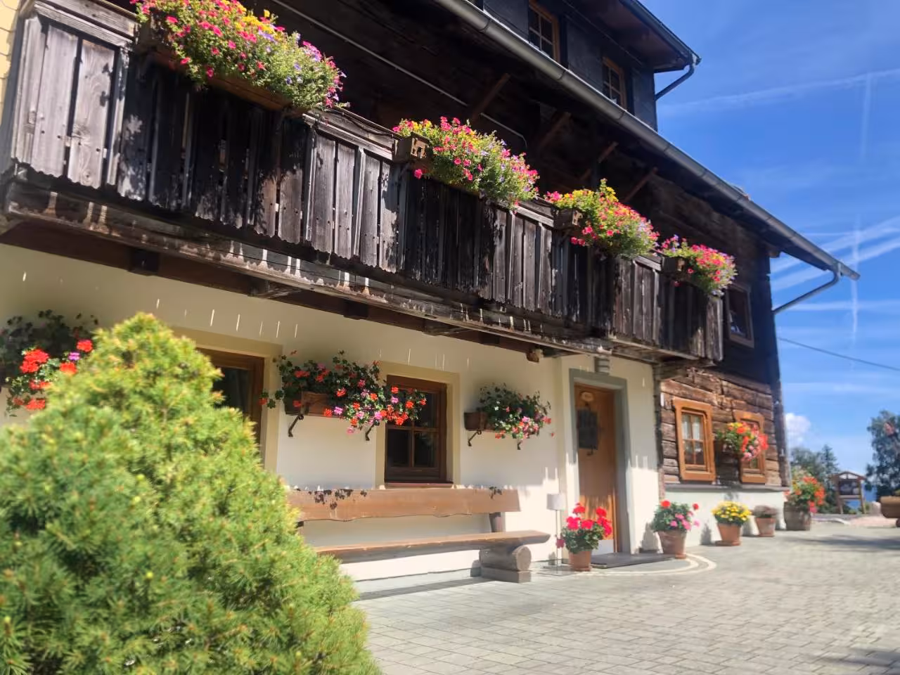 Bild der Unterkunft