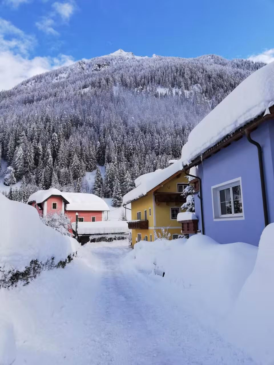 Bild der Unterkunft