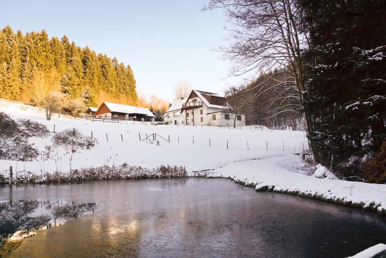 Bild der Unterkunft