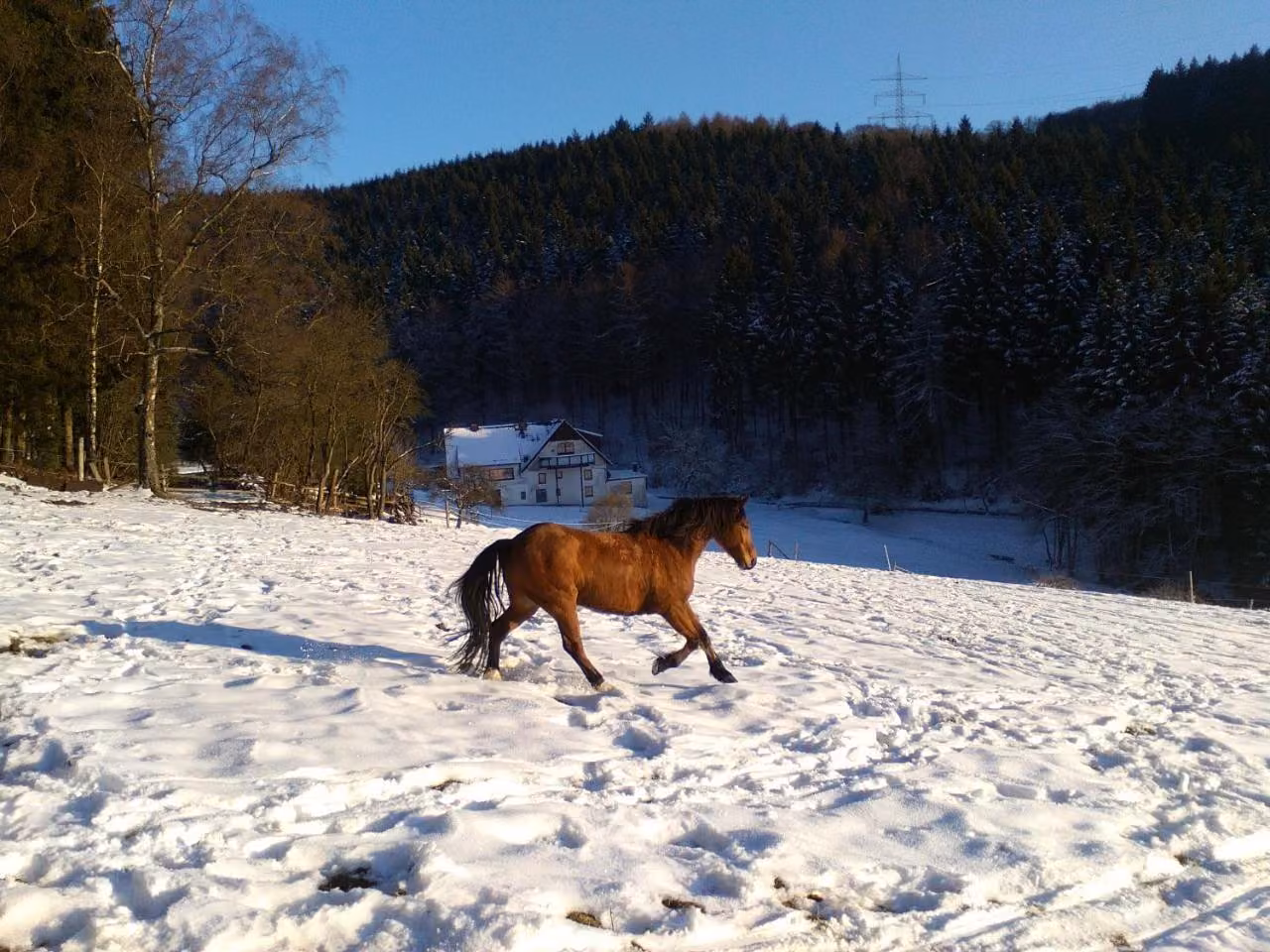 Bild der Unterkunft