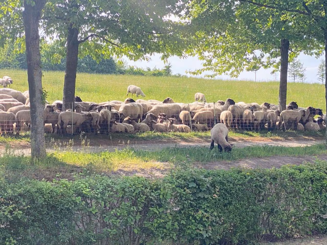 Bild der Unterkunft