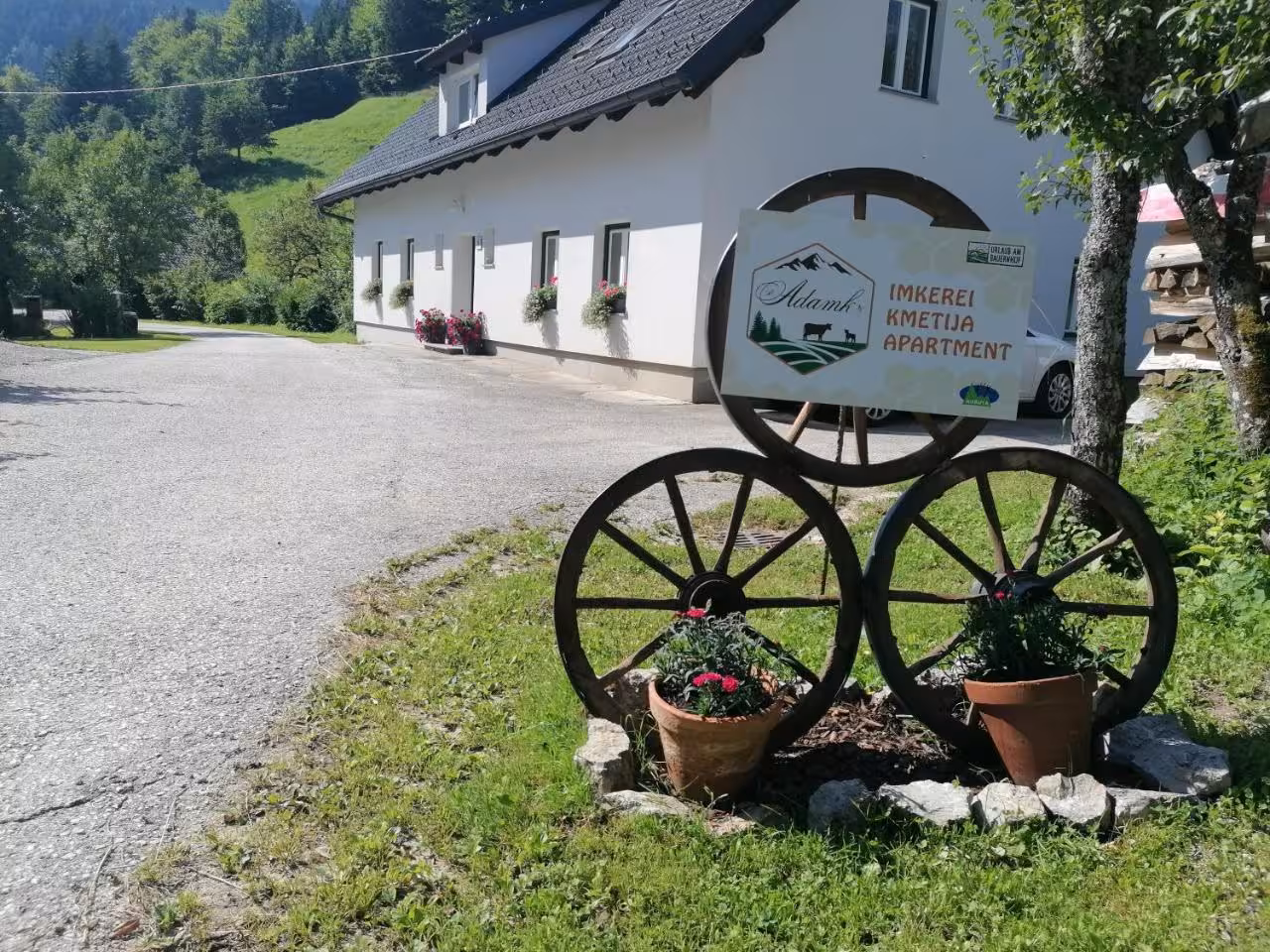 Bild der Unterkunft