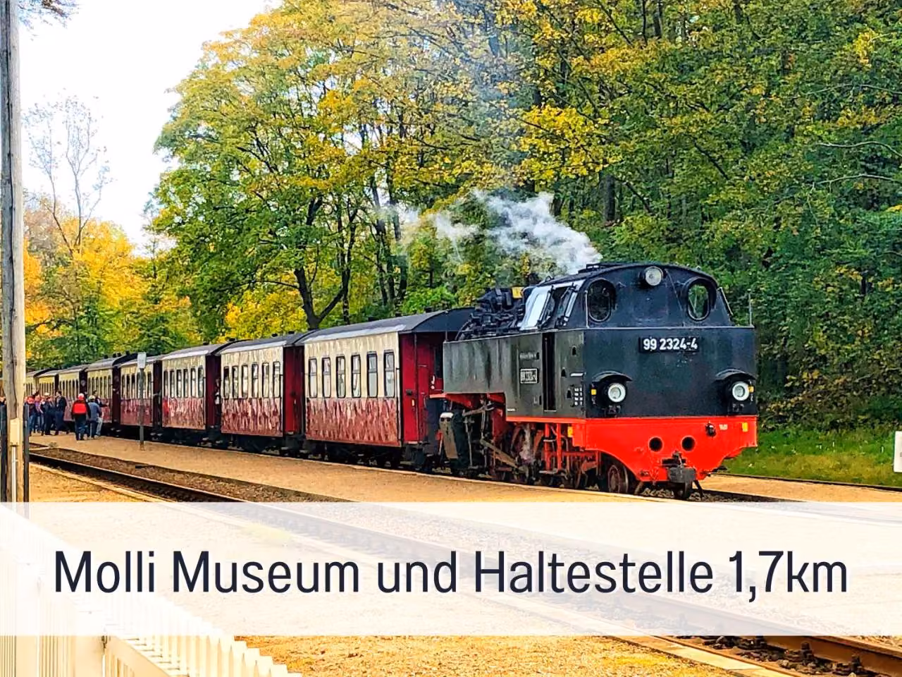 Bild der Unterkunft