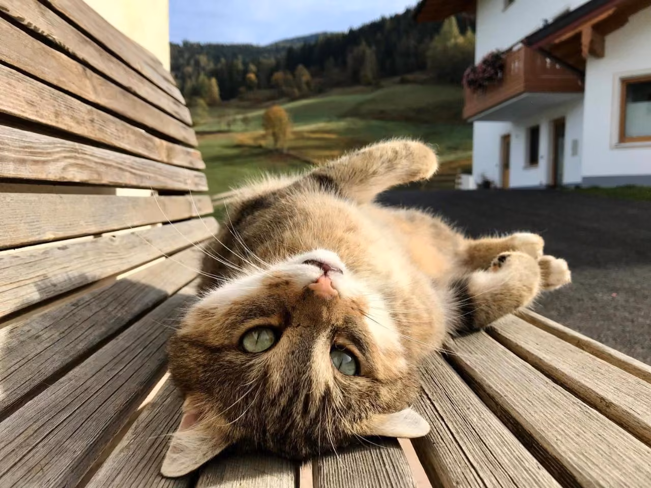 Bild der Unterkunft