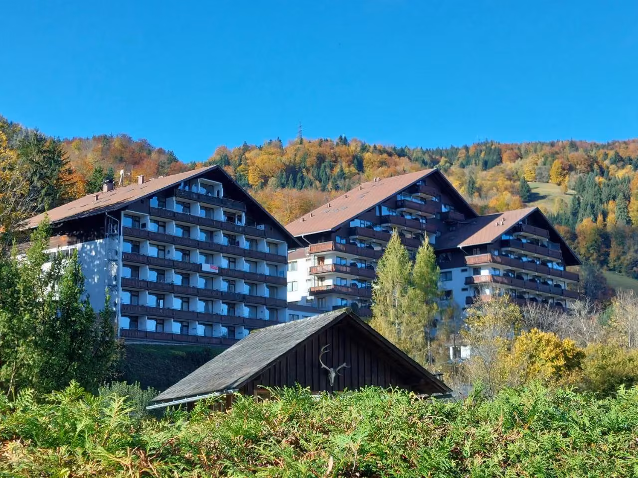 Bild der Unterkunft
