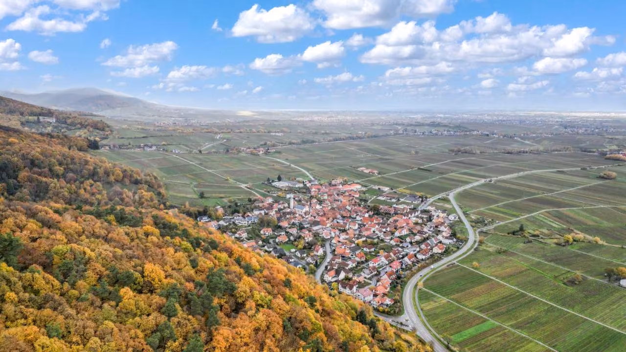 Bild der Unterkunft