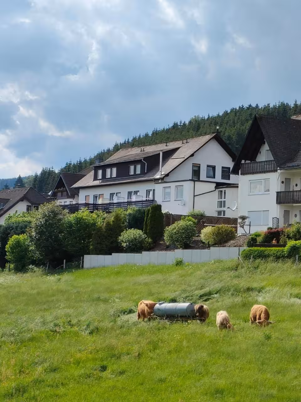 Bild der Unterkunft