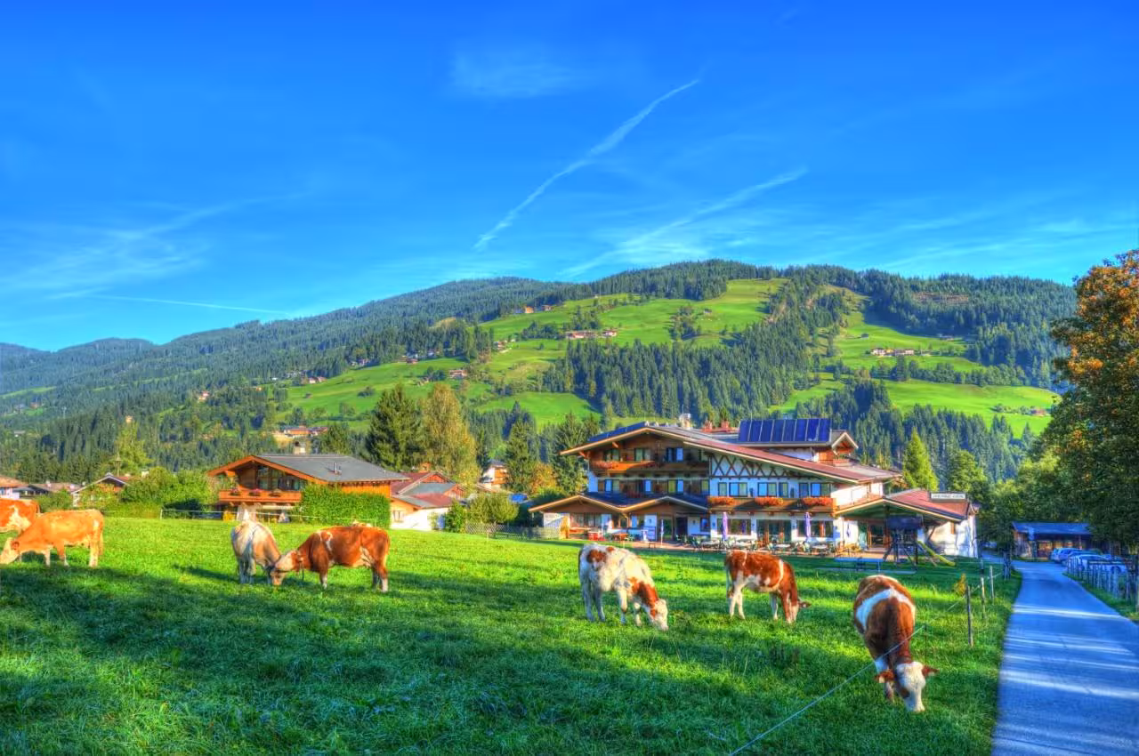 Bild der Unterkunft