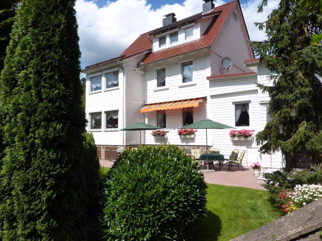 Bild der Unterkunft