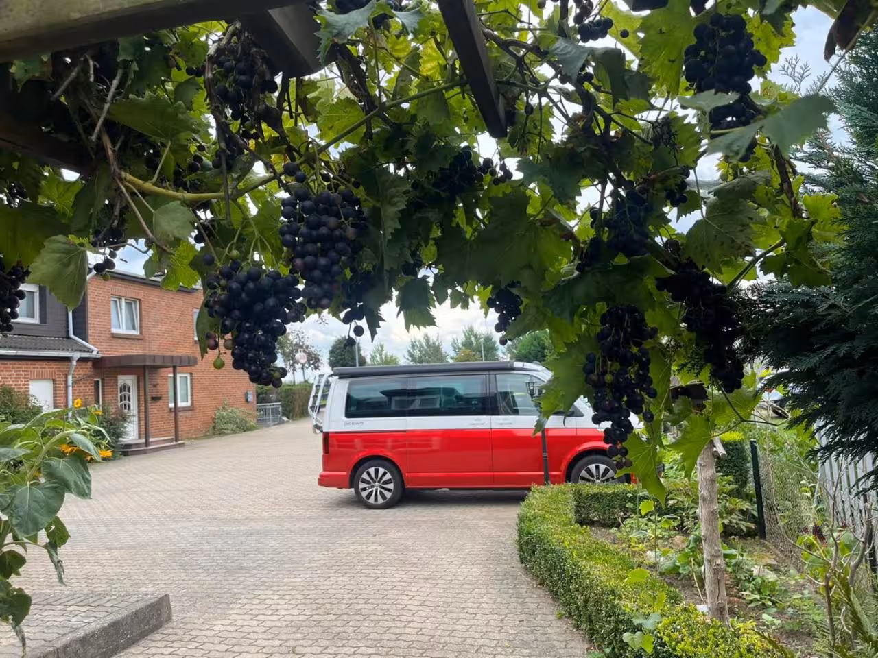 Bild der Unterkunft