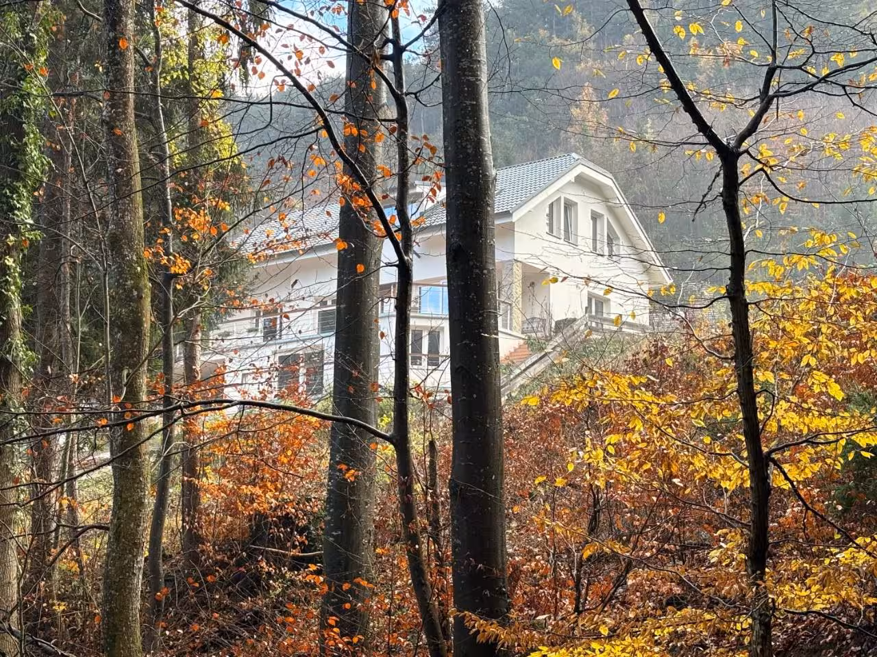 Bild der Unterkunft