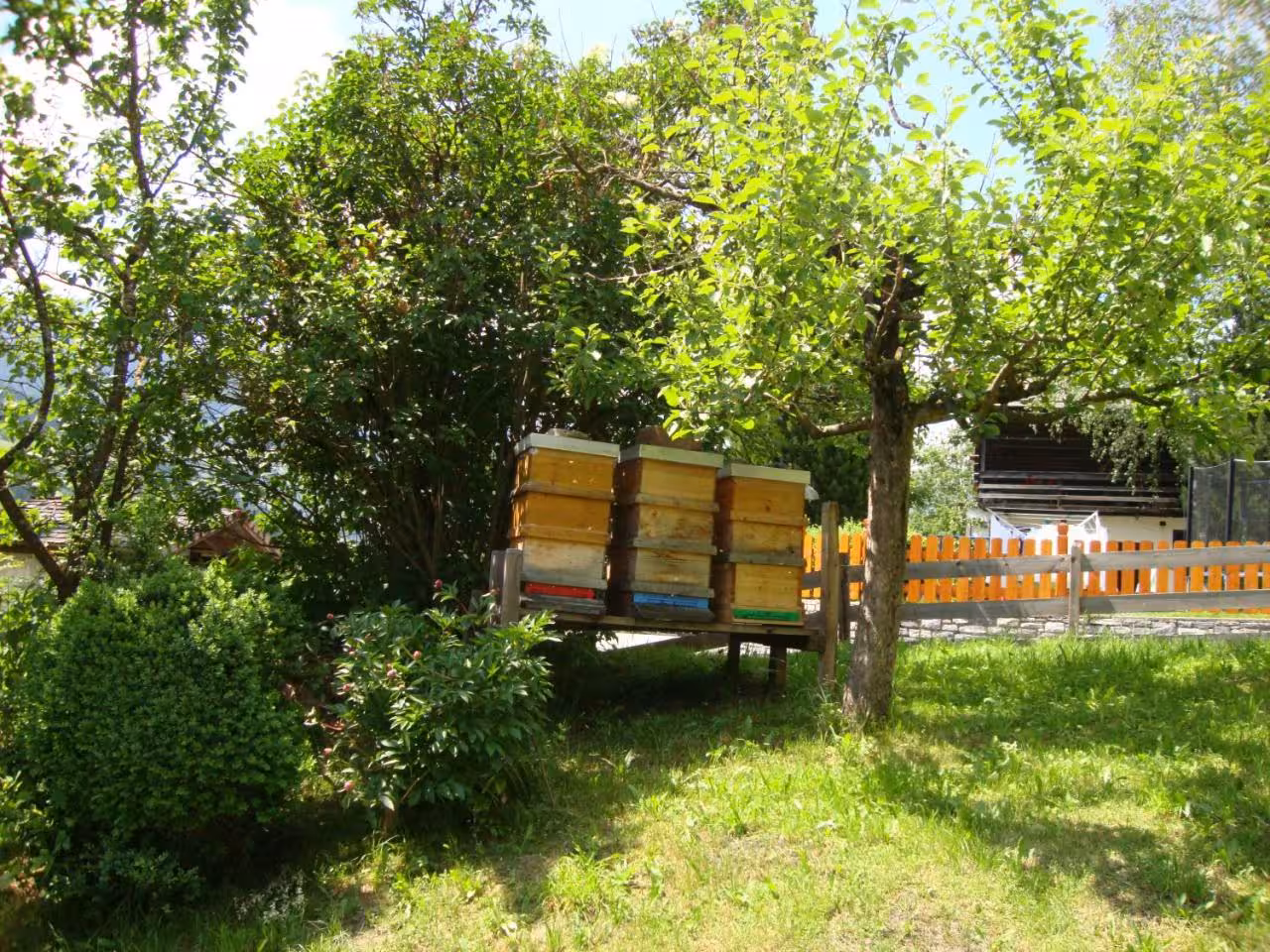 Bild der Unterkunft