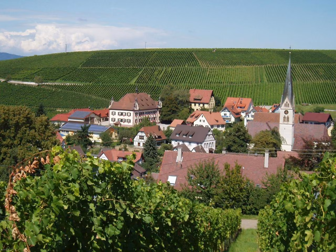 Bild der Unterkunft