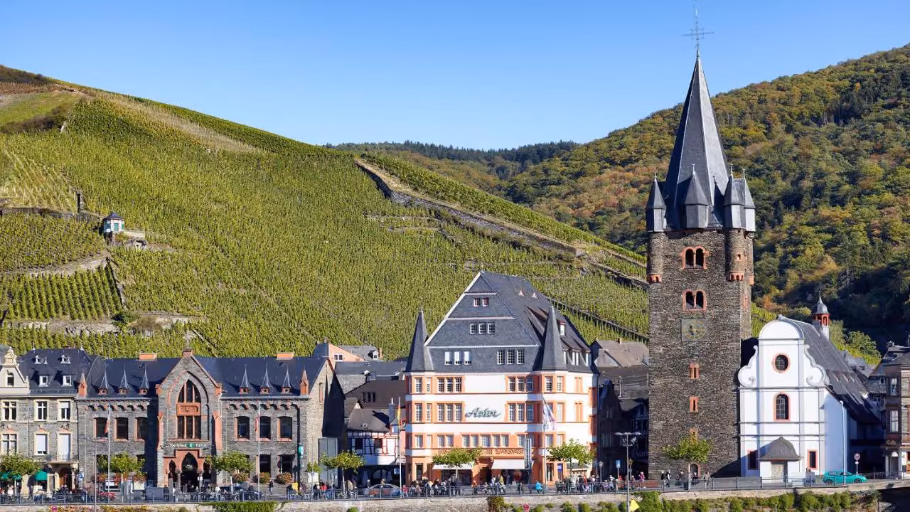 Bild der Unterkunft