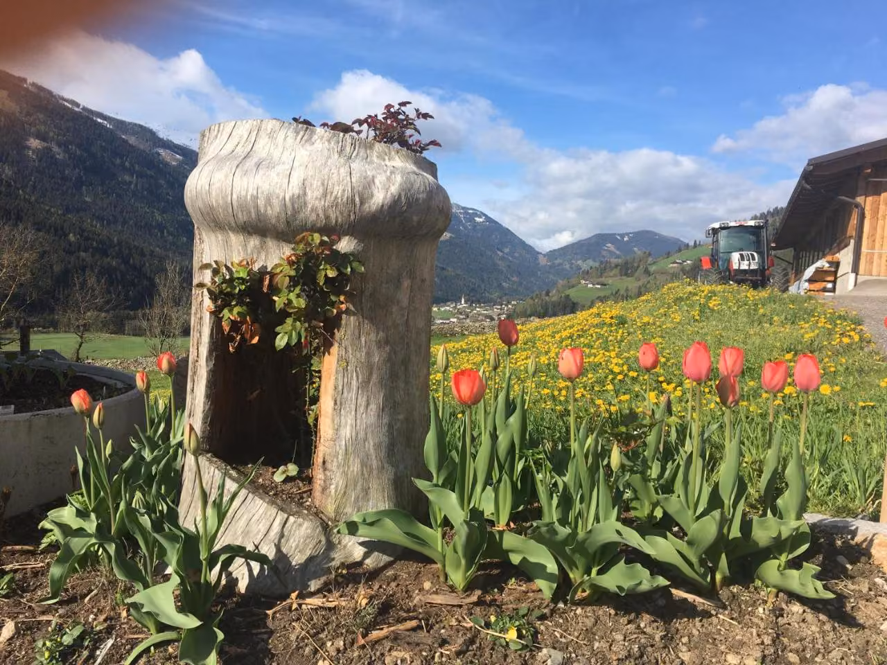 Bild der Unterkunft