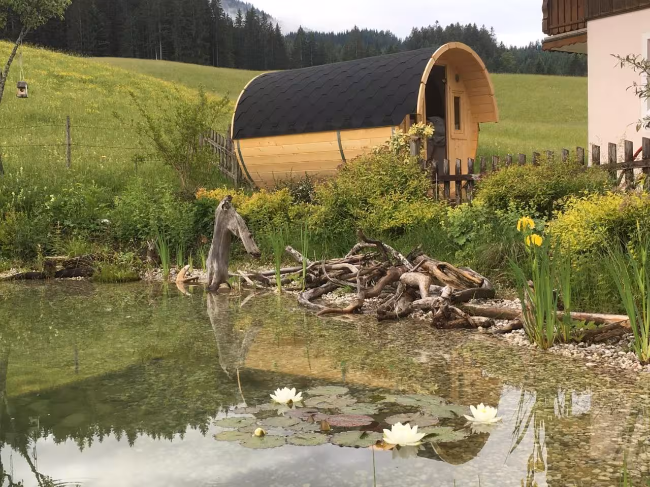 Bild der Unterkunft