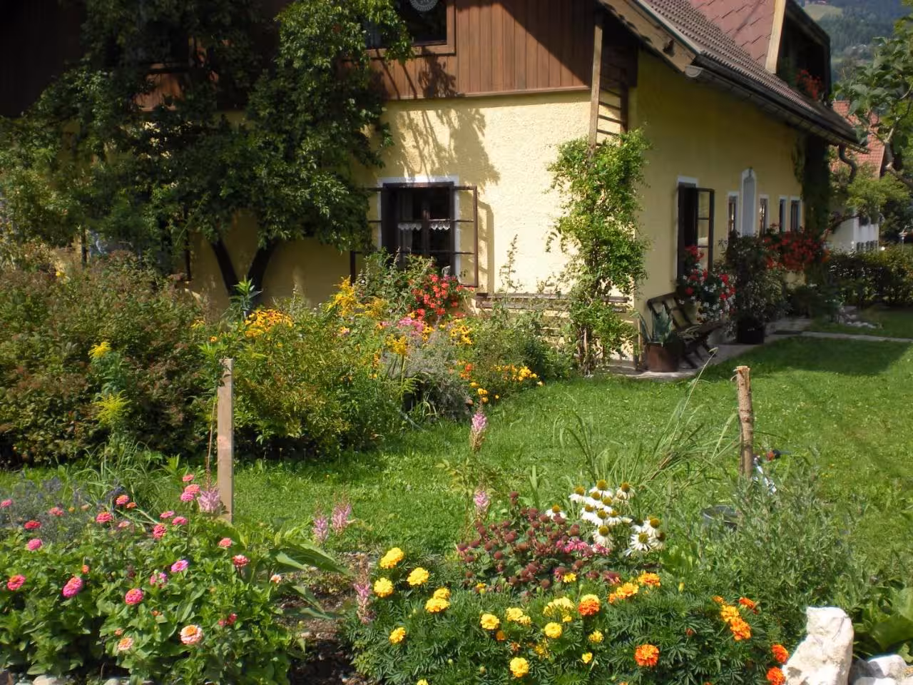 Bild der Unterkunft