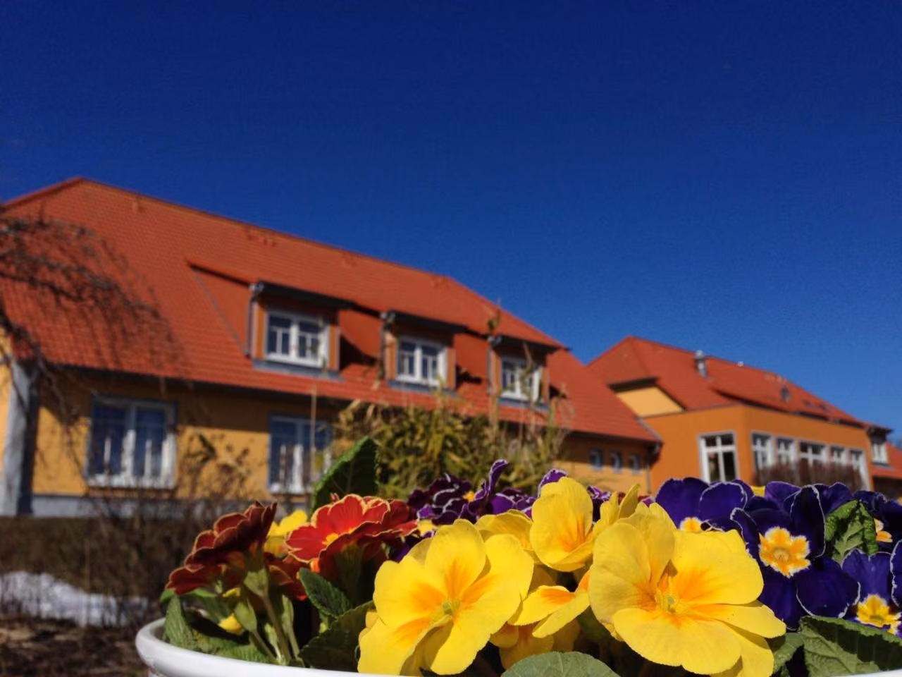 Bild der Unterkunft