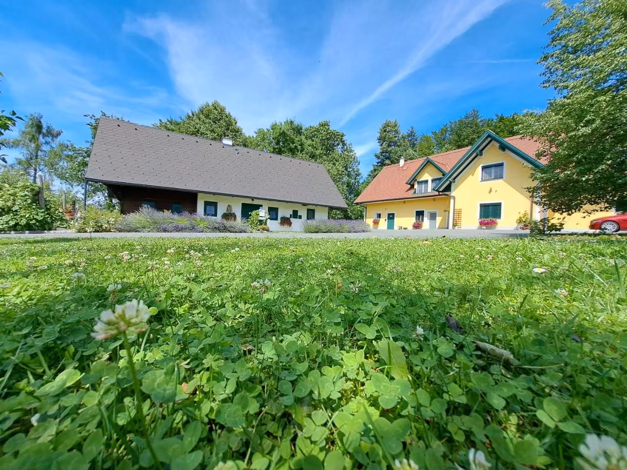 Bild der Unterkunft