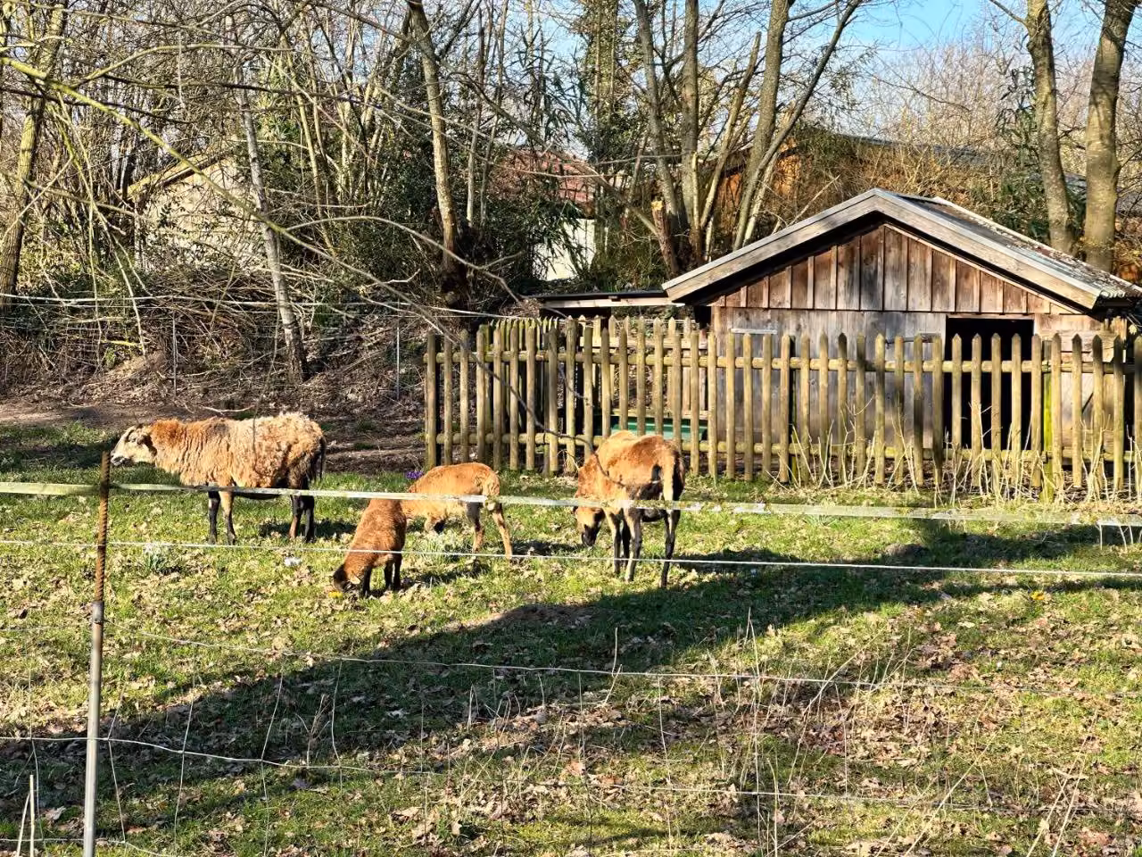 Bild der Unterkunft