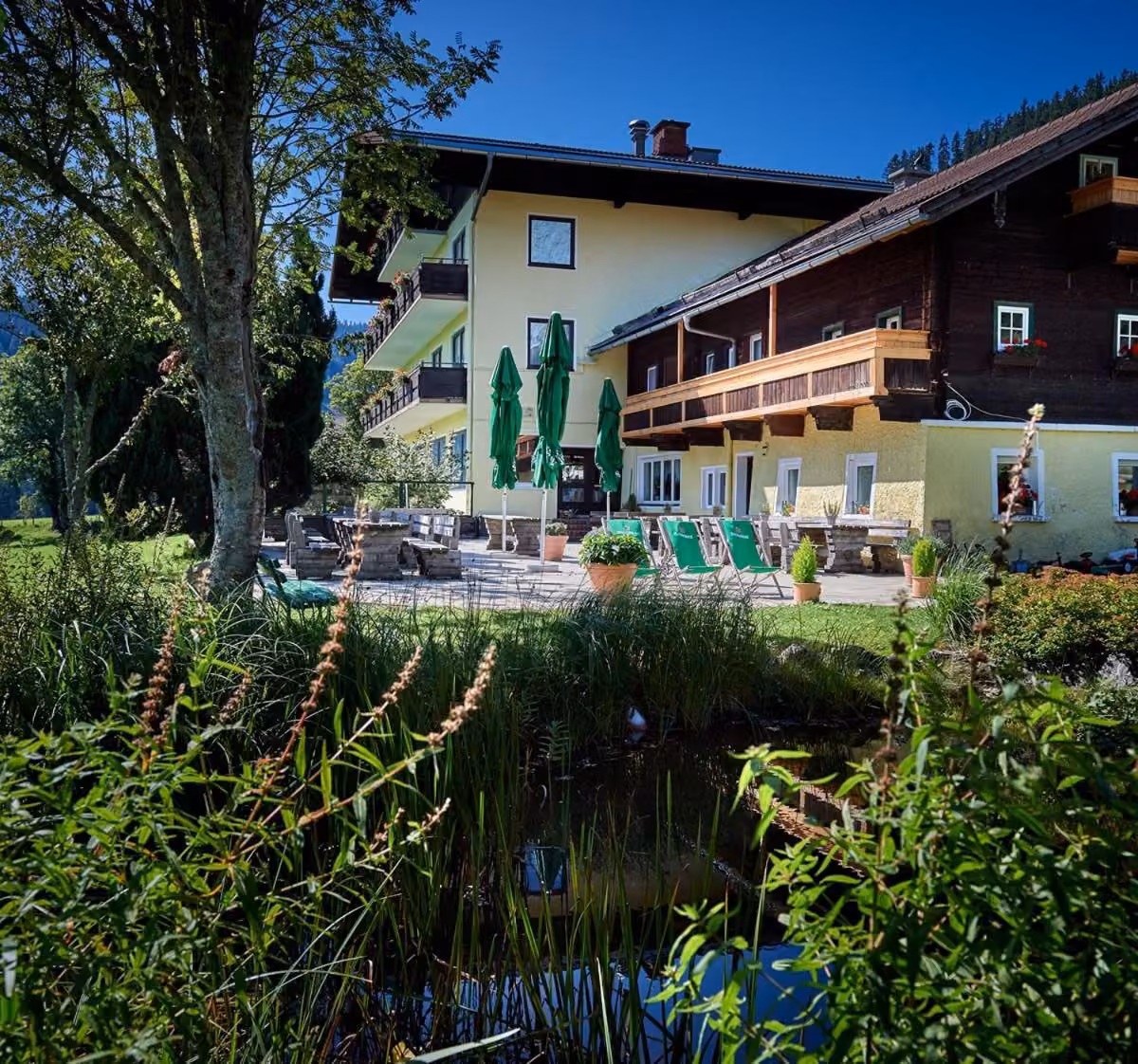 Bild der Unterkunft