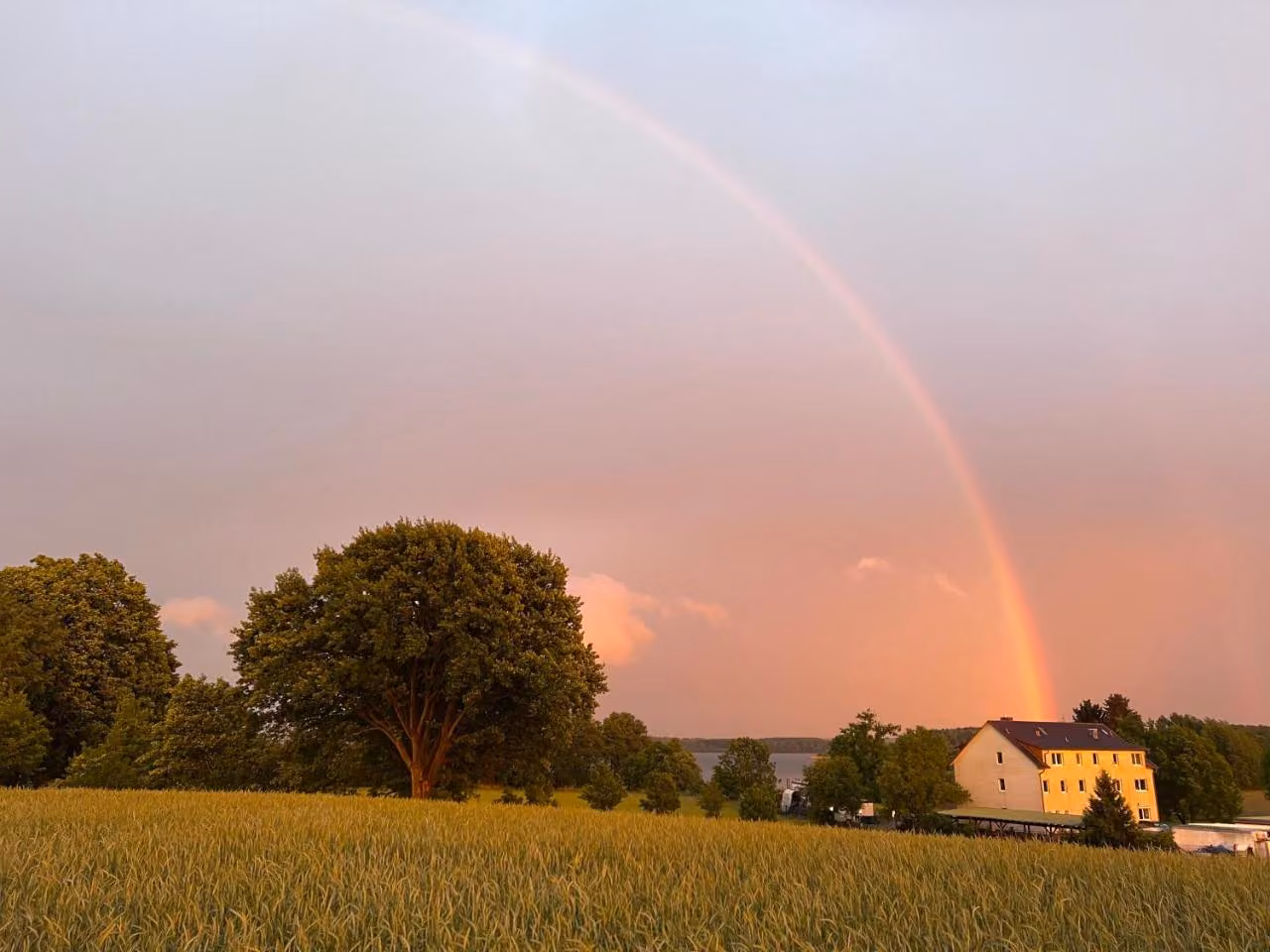 Bild der Unterkunft