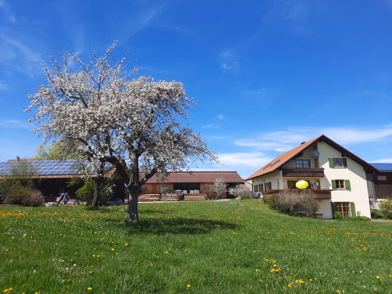 Bild der Unterkunft