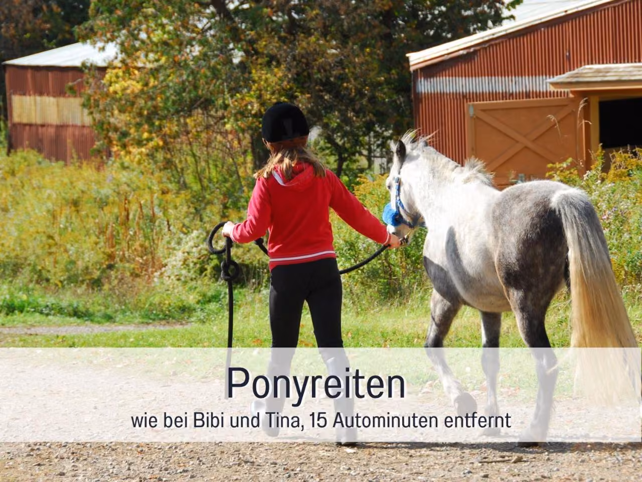 Bild der Unterkunft