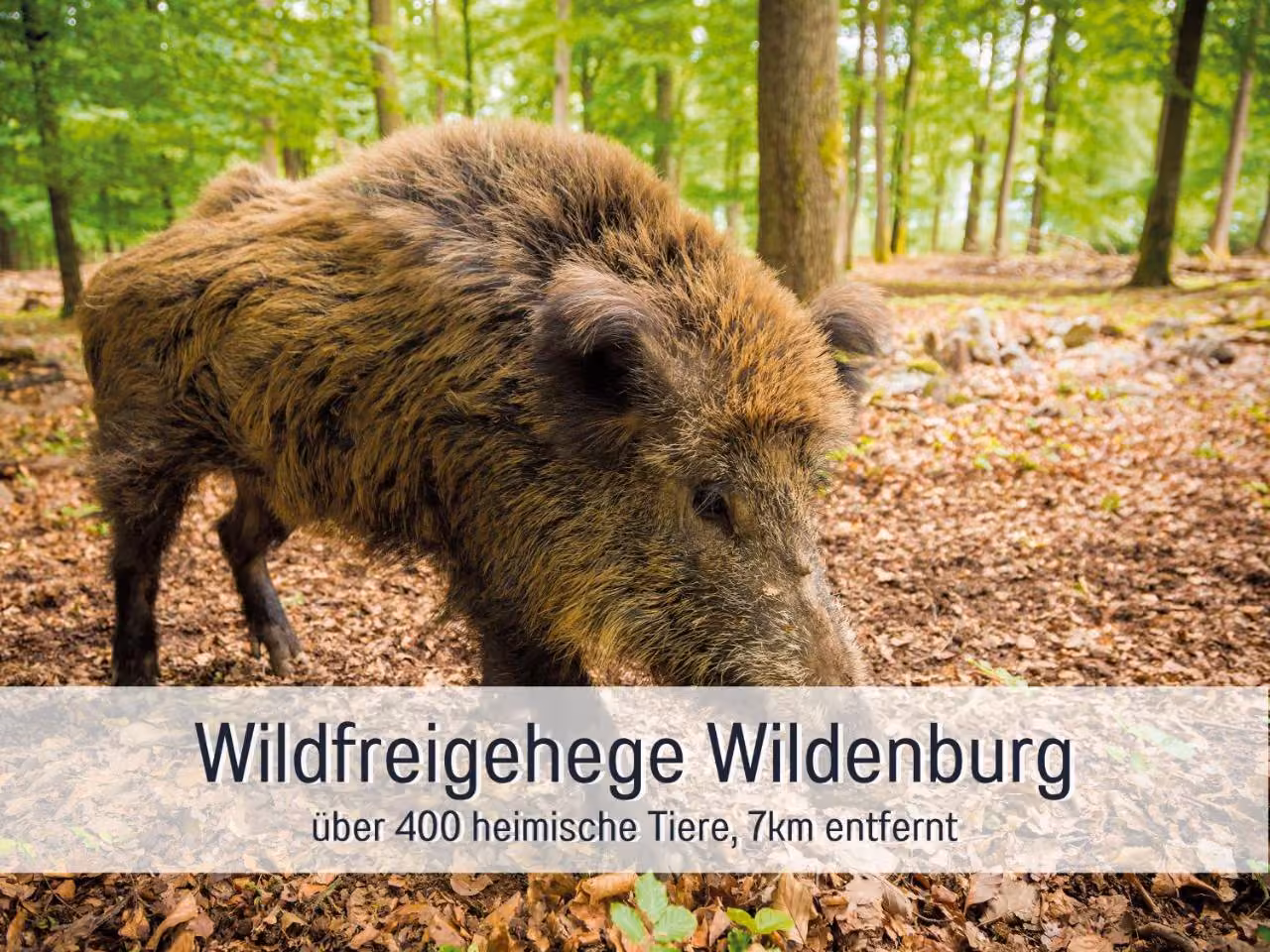Bild der Unterkunft