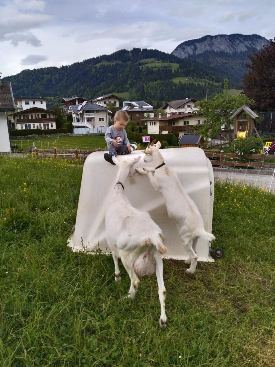 Bild der Unterkunft