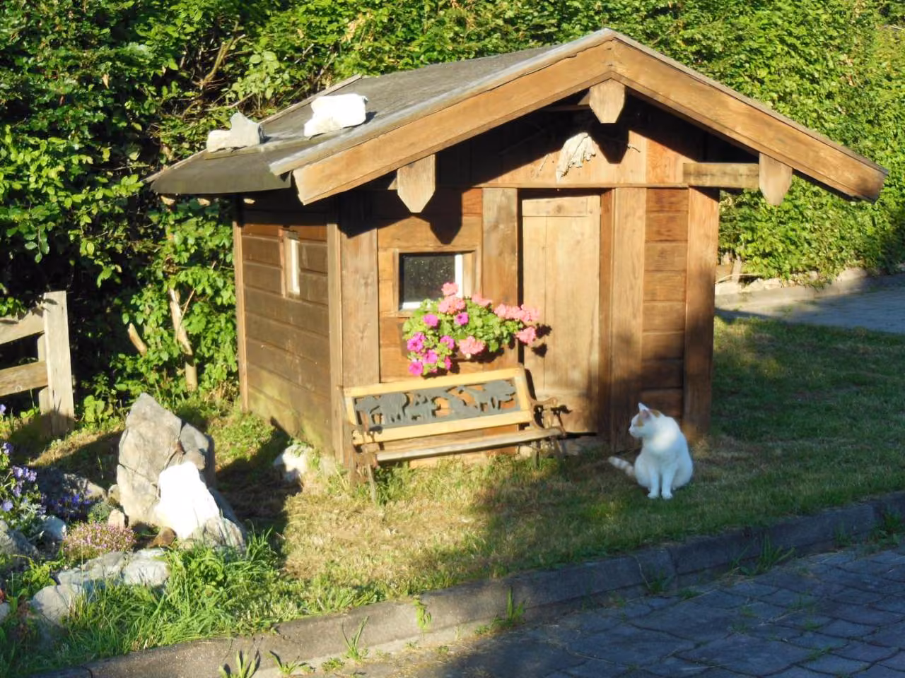 Bild der Unterkunft