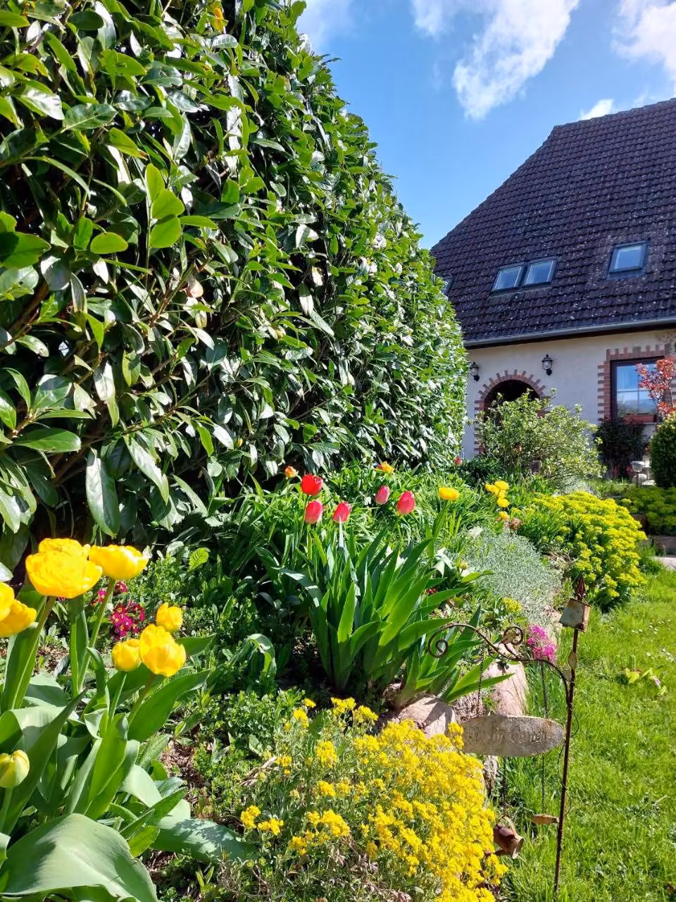 Bild der Unterkunft