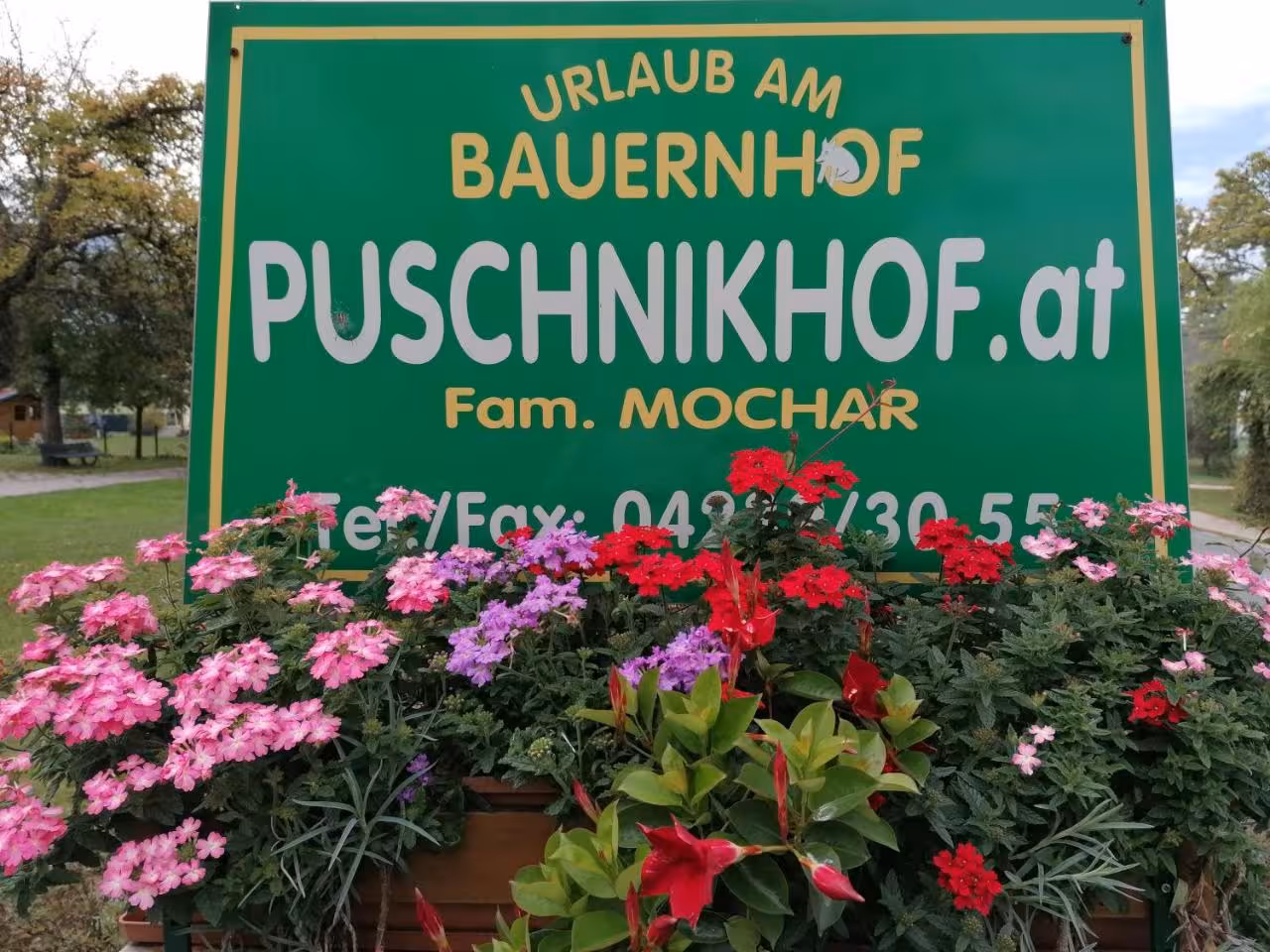 Bild der Unterkunft