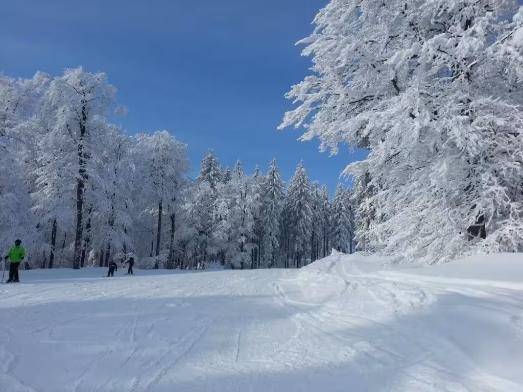 Bild der Unterkunft