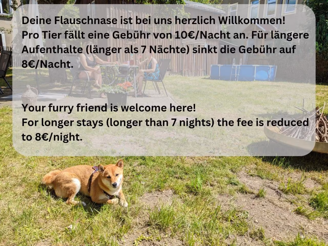 Bild der Unterkunft