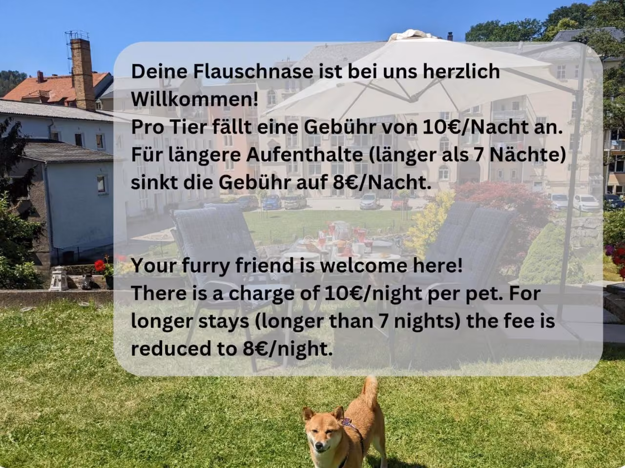 Bild der Unterkunft