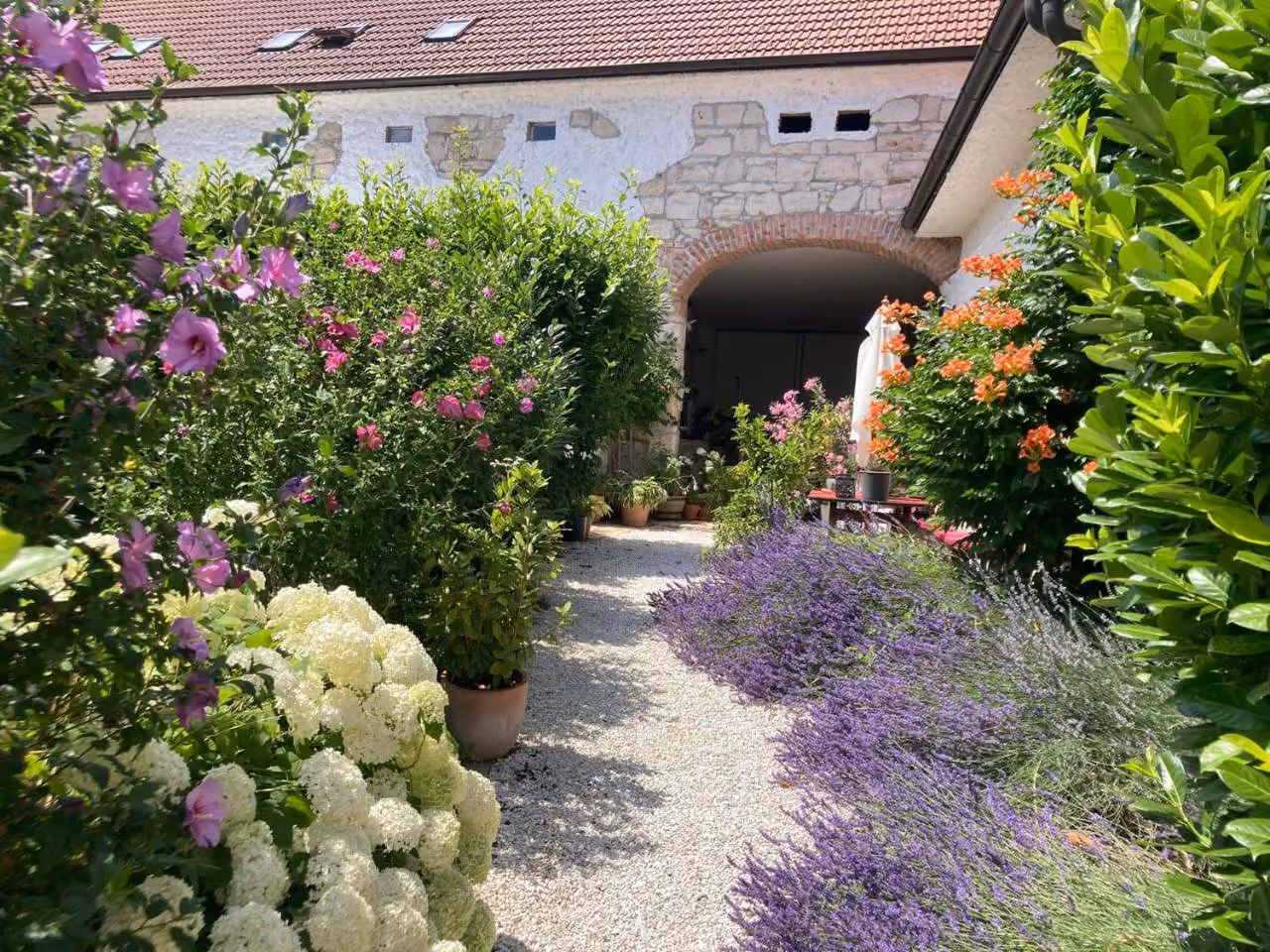 Bild der Unterkunft