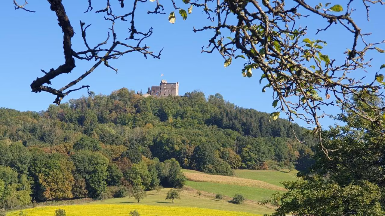 Bild der Unterkunft