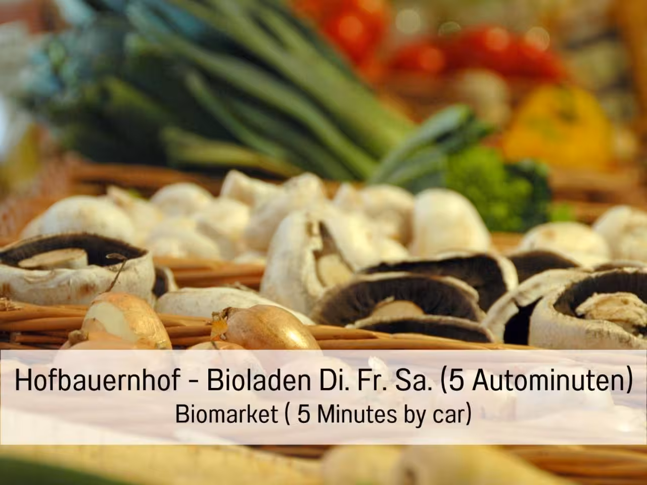 Bild der Unterkunft