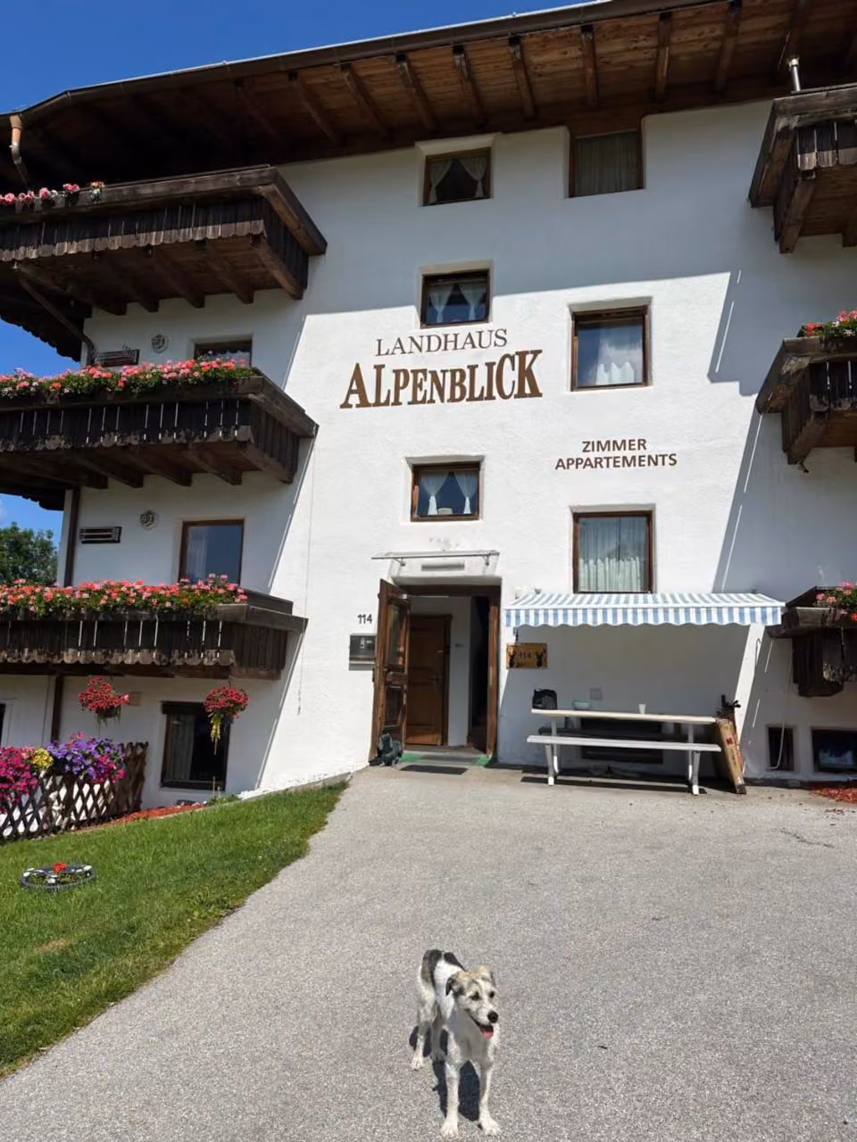Bild der Unterkunft