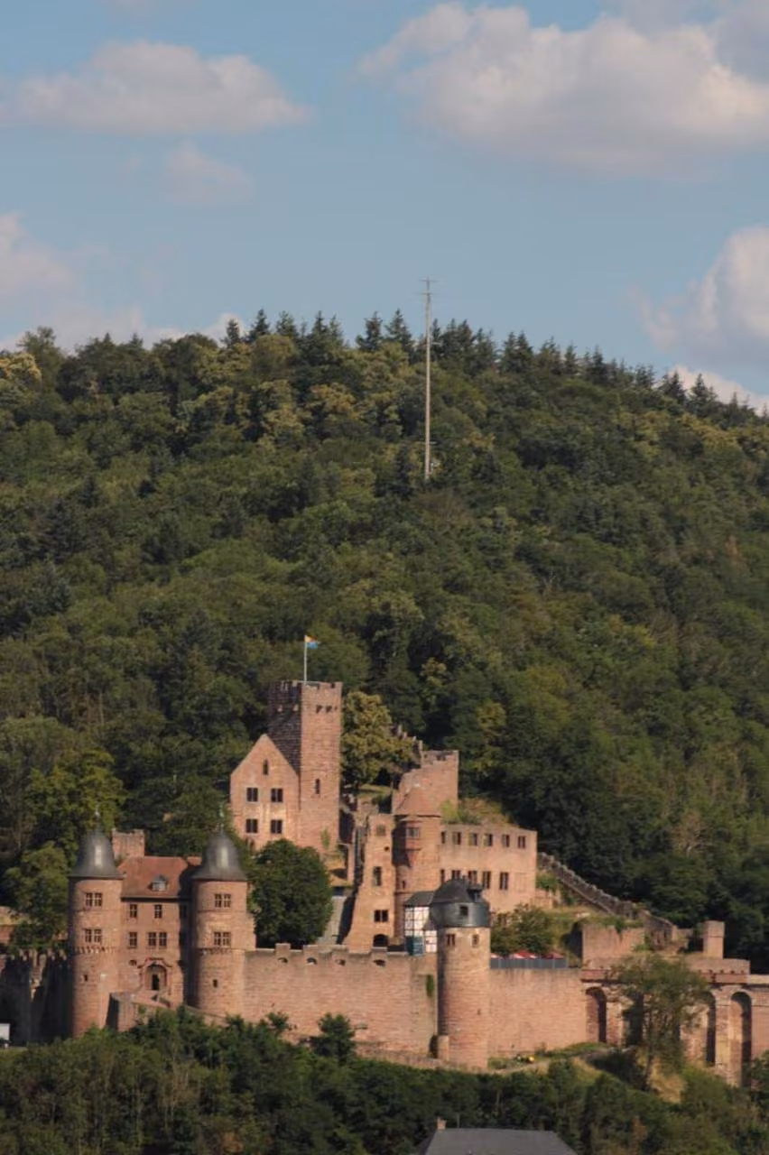 Bild der Unterkunft