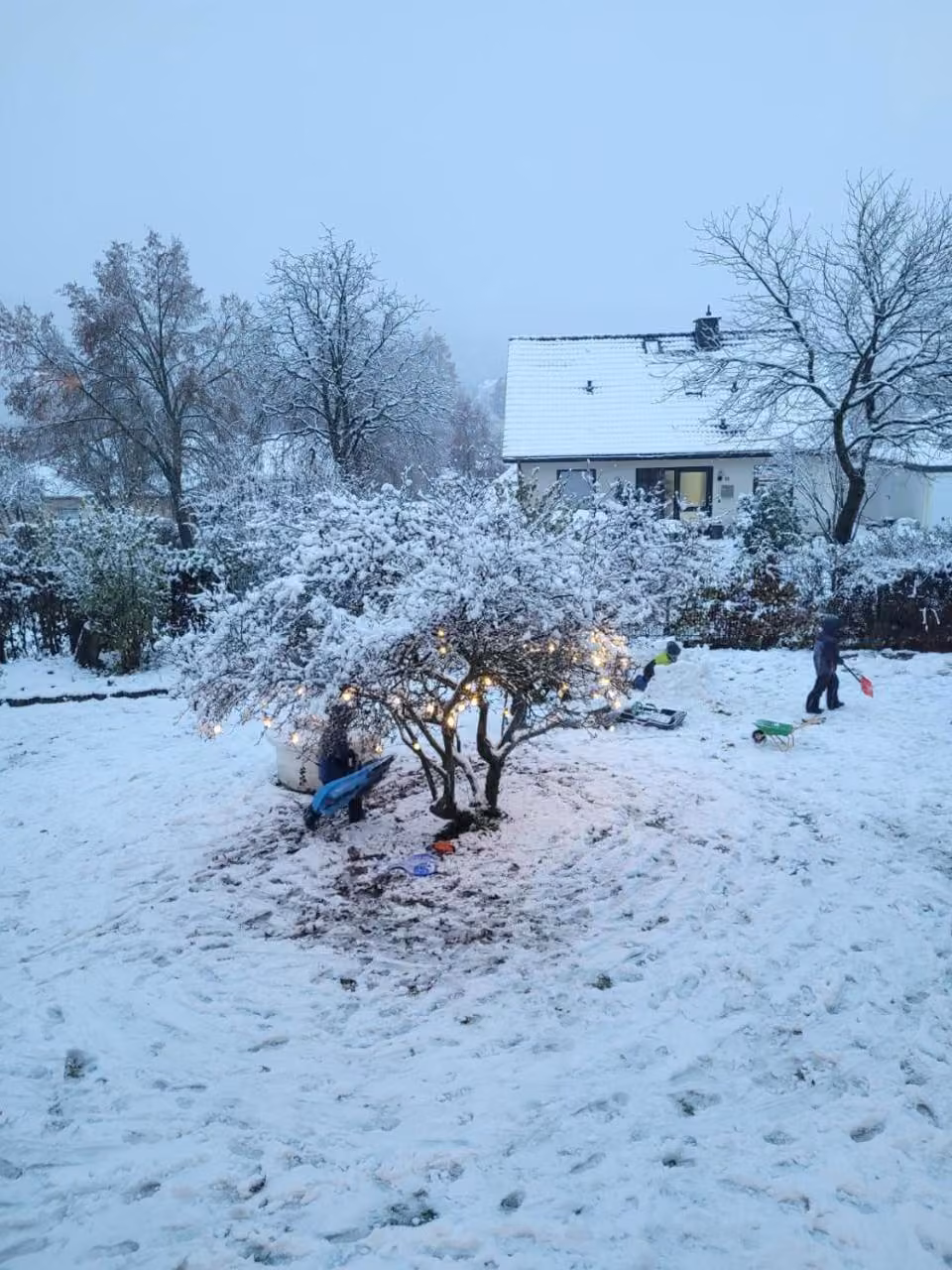 Bild der Unterkunft