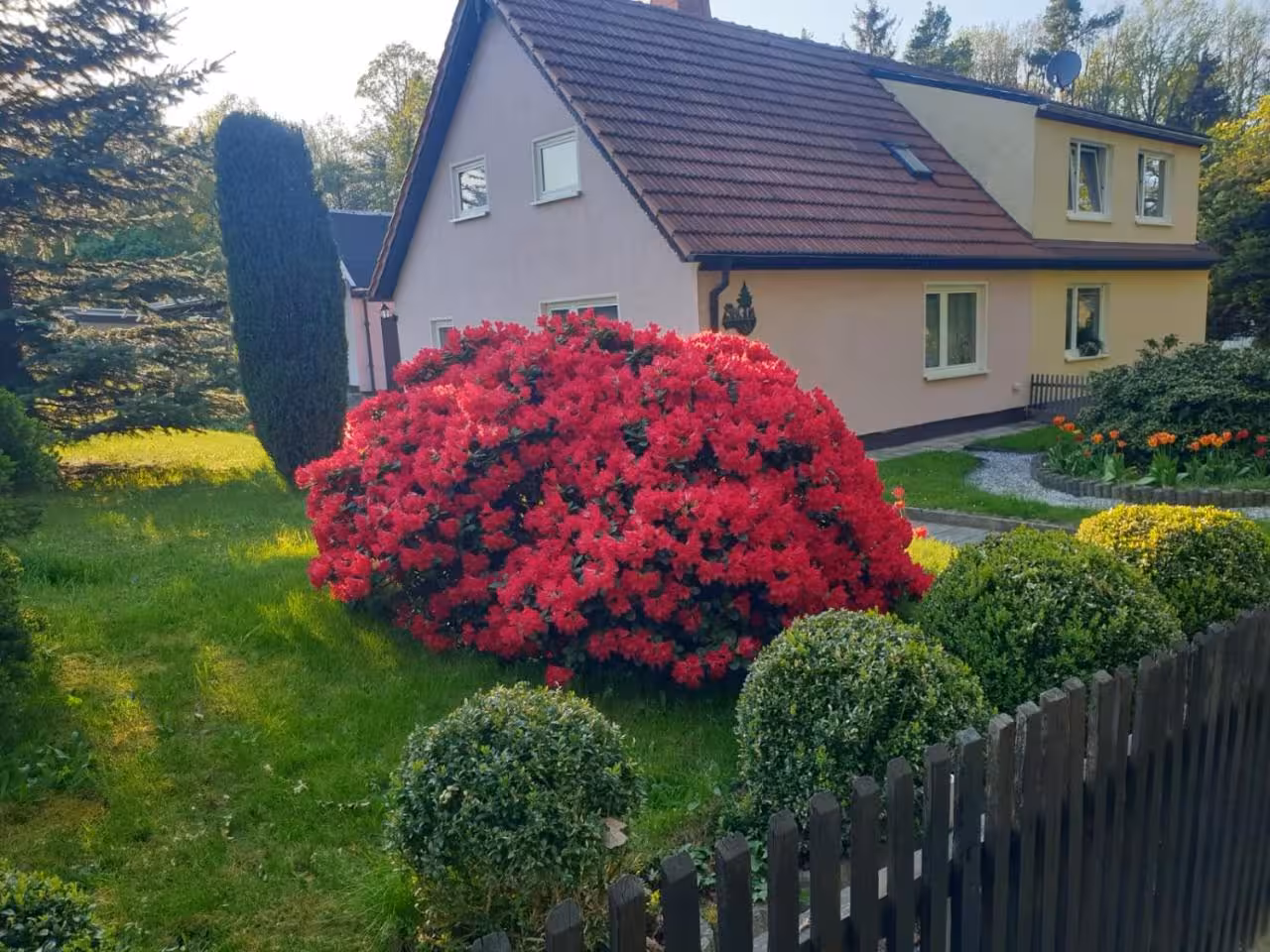 Bild der Unterkunft