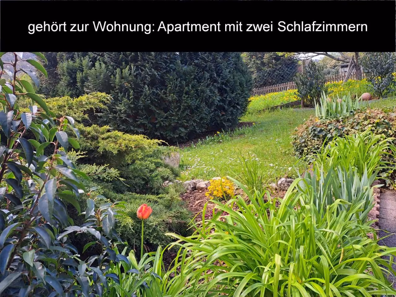 Bild der Unterkunft