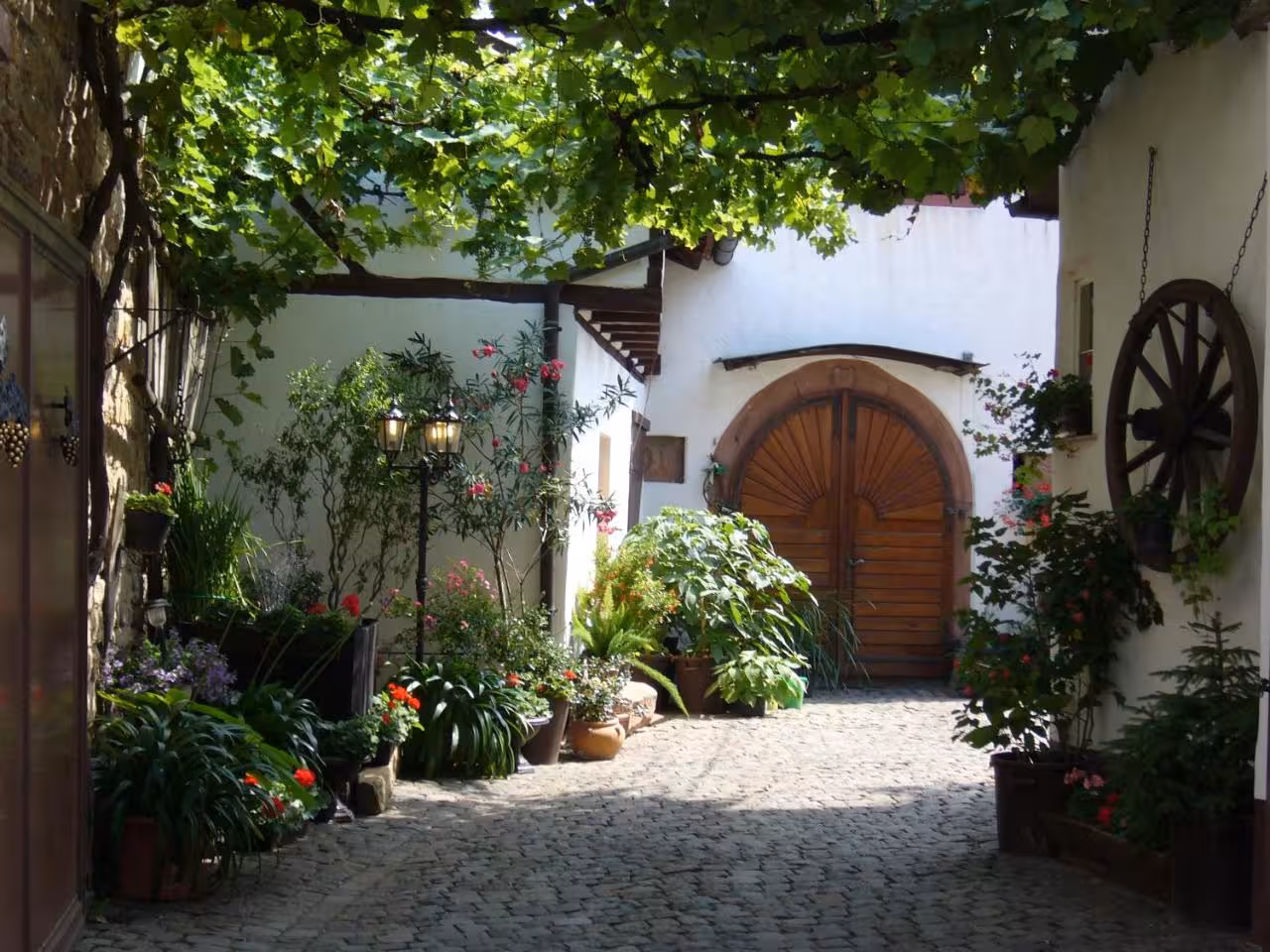 Bild der Unterkunft