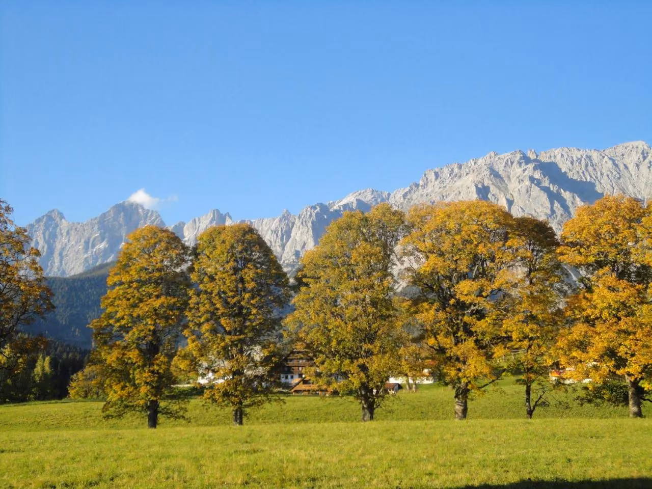 Bild der Unterkunft