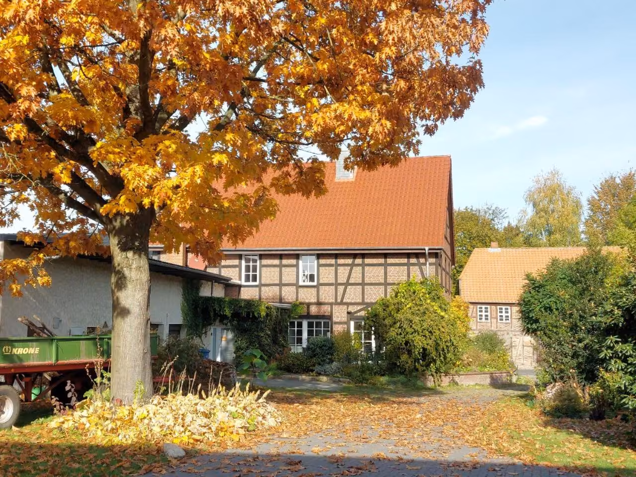 Bild der Unterkunft