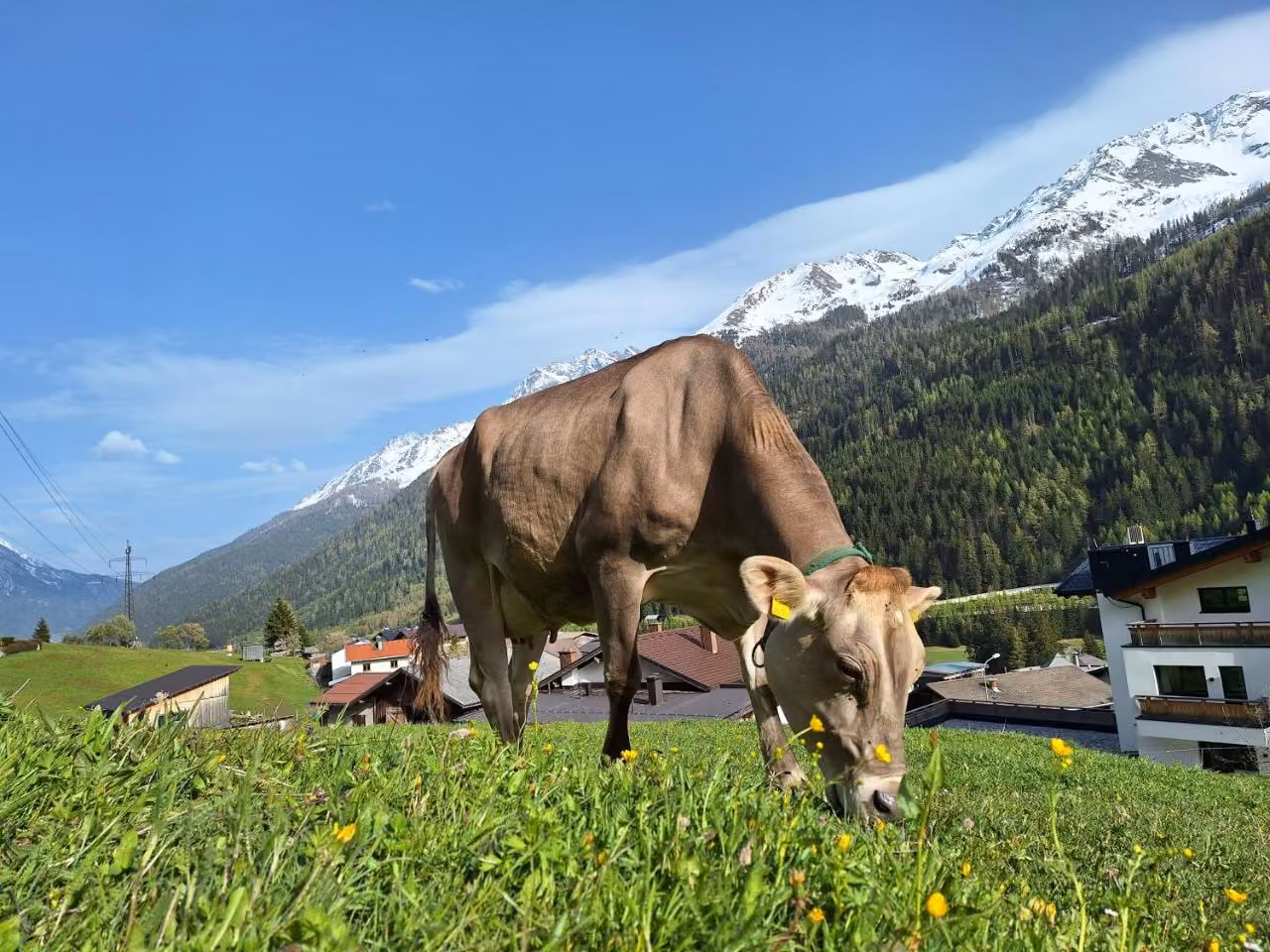 Bild der Unterkunft